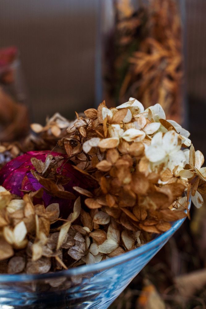 Фотография автора Даниэль