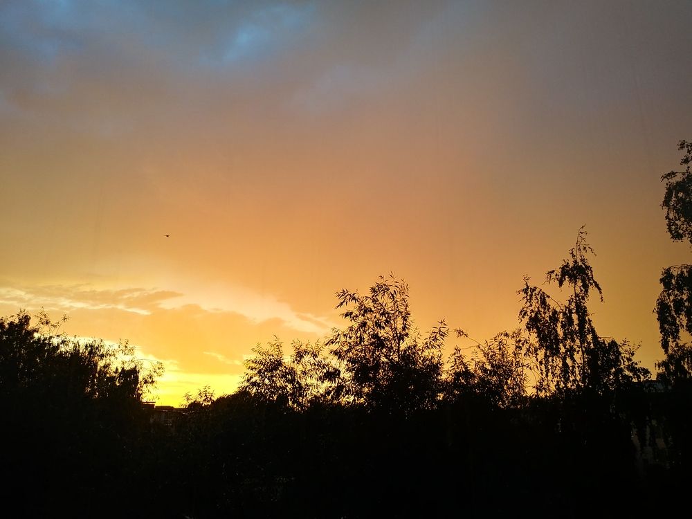 Photograph by Инна Голубева