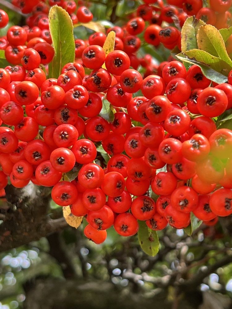 Photograph by Eugenia Schmidt