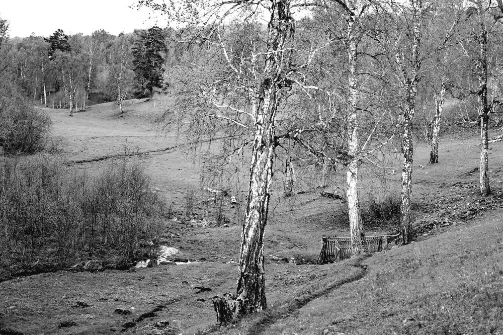 Photograph by Назмутдинова Сауия