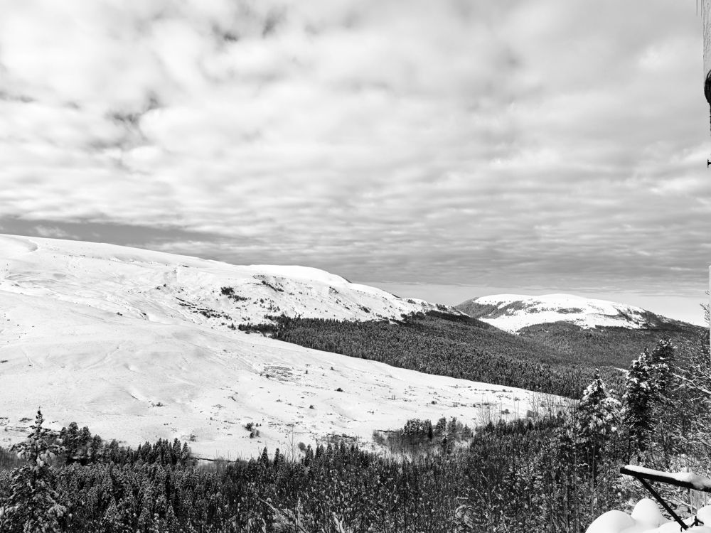 Photograph by Елизавета Зыкова