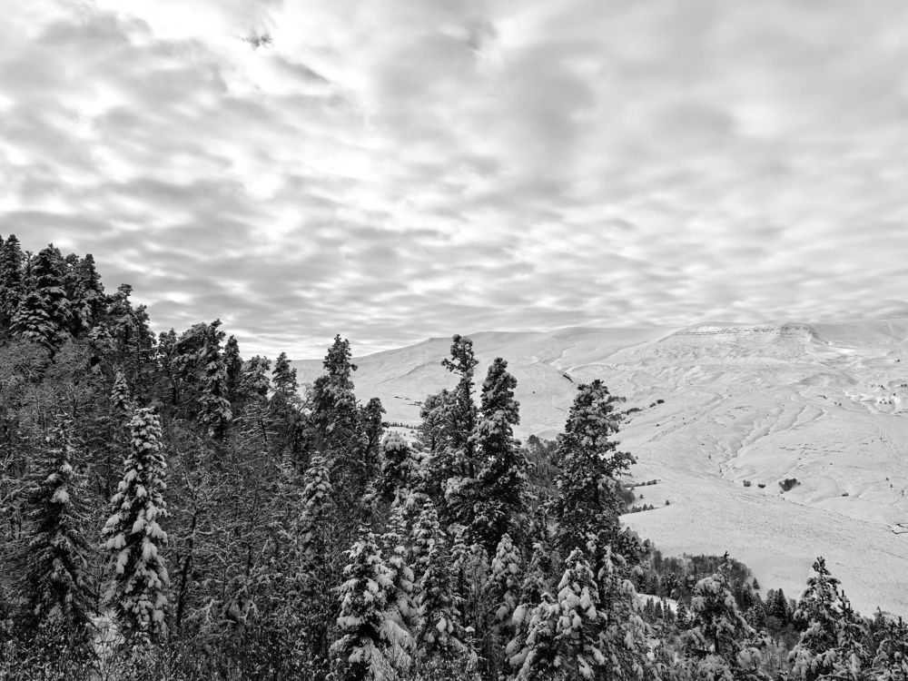 Photograph by Елизавета Зыкова