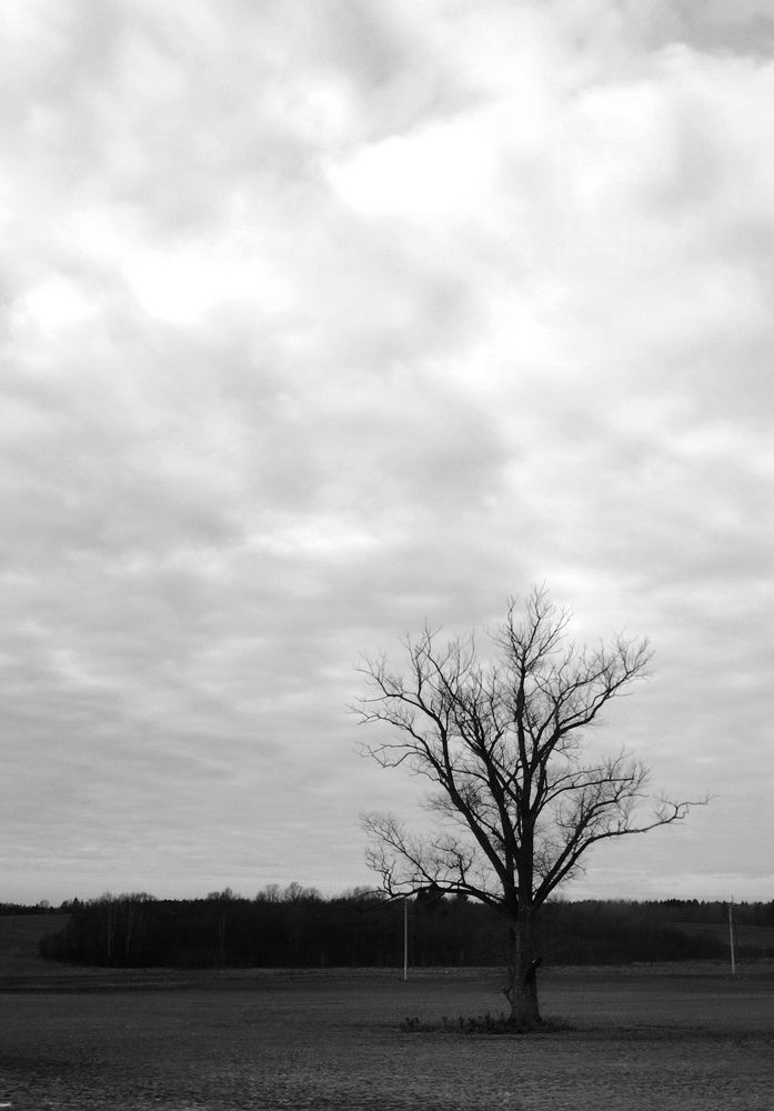 Photograph by Ия Дирко