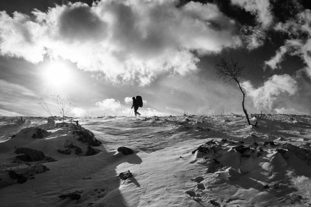 Photograph by Григорова Мария