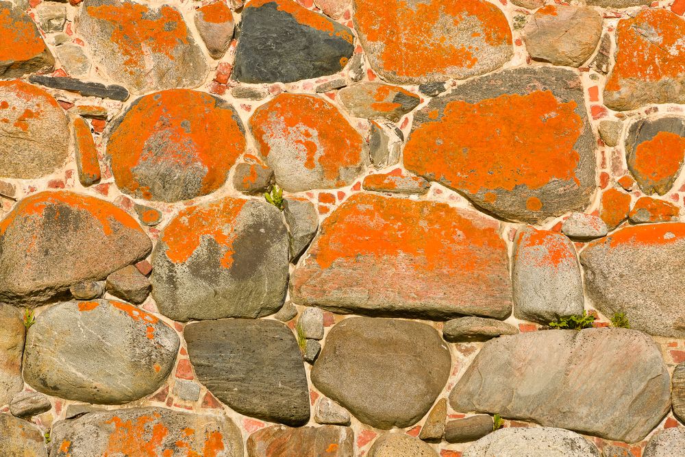 Photograph by Olga Mendosa