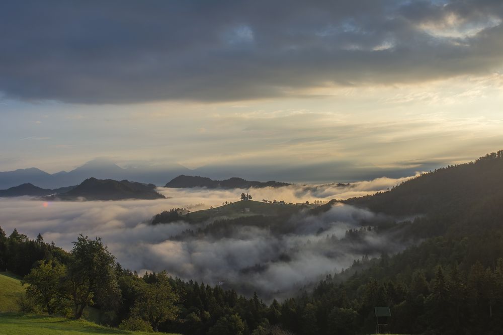 Photograph by Renee Johansson