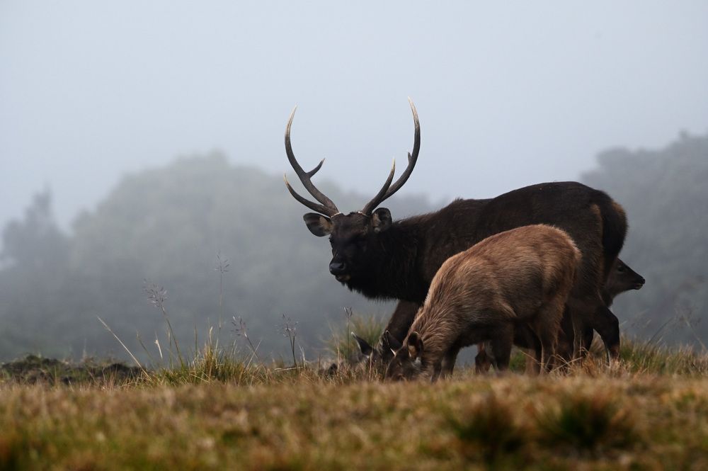 Photograph by Shirley irantha Sooriyaarachchi