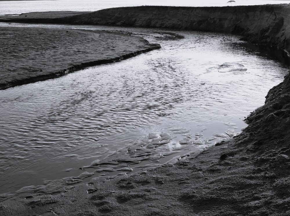 Зонтик / Umbrella
