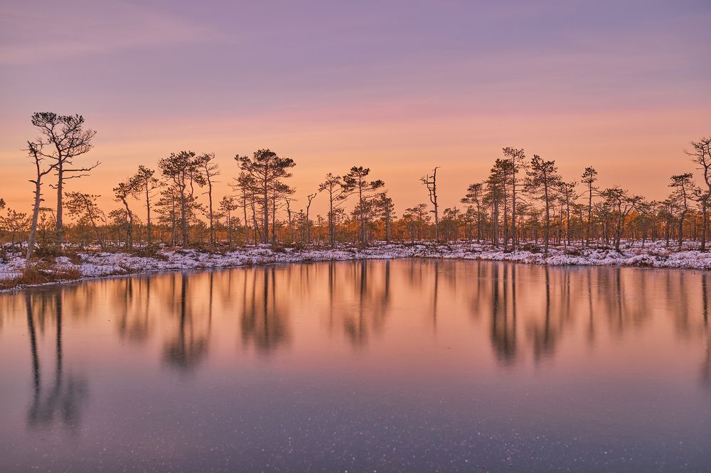 Photograph by Северная Алиса