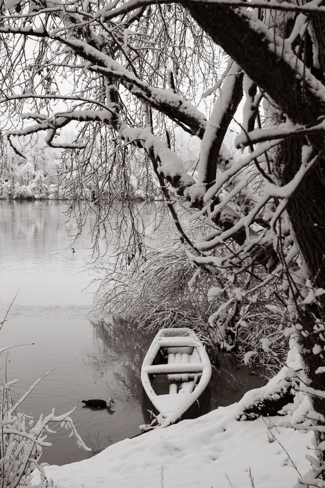 Photograph by Екатерина Талалай