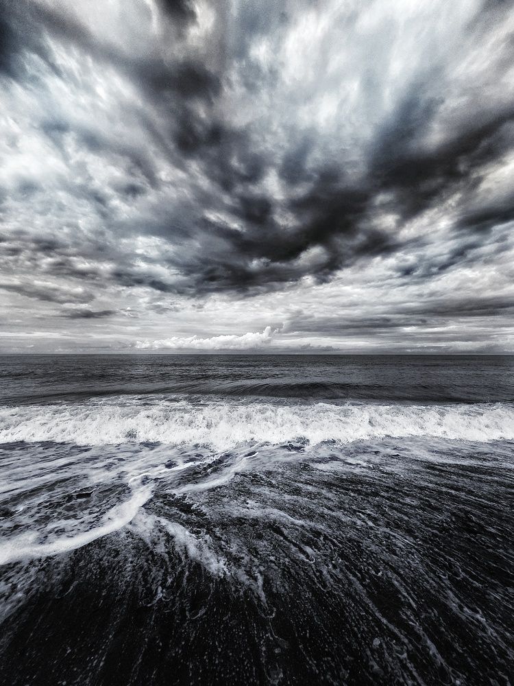 У Черного моря