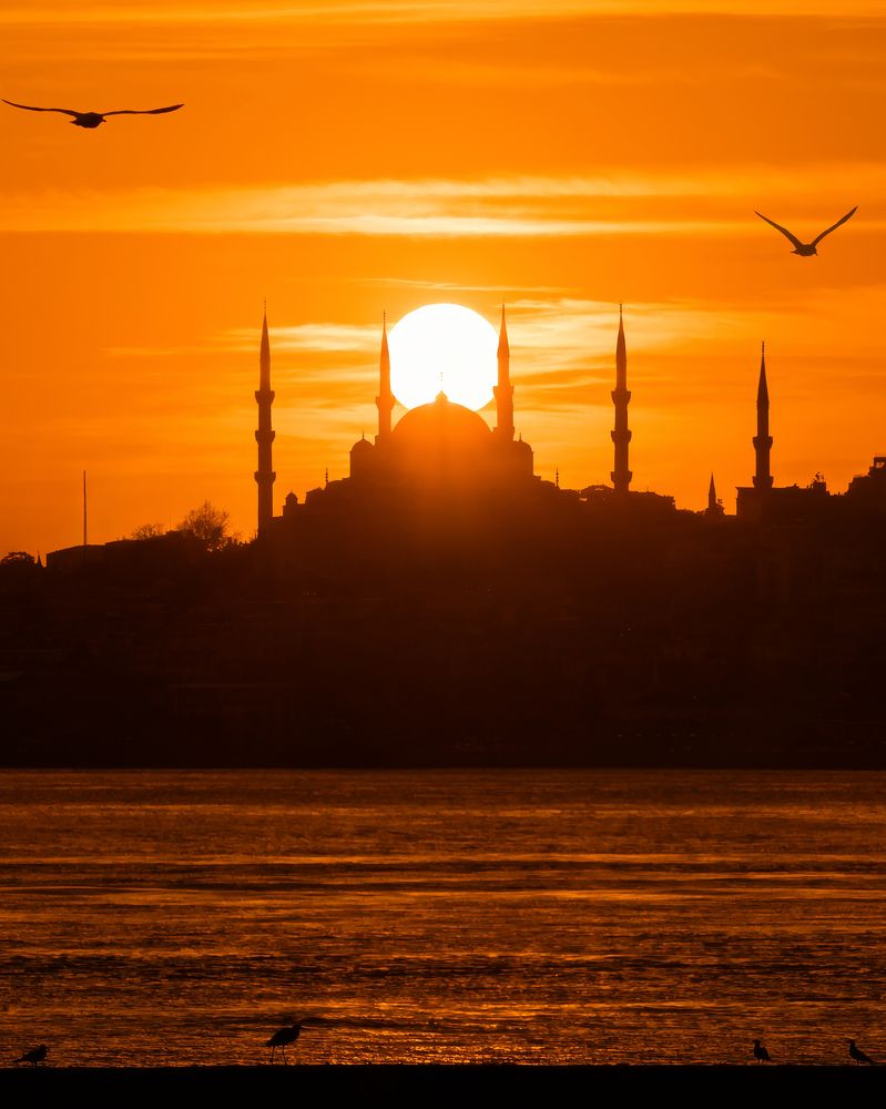 Фотография автора Анастасия Мазурева