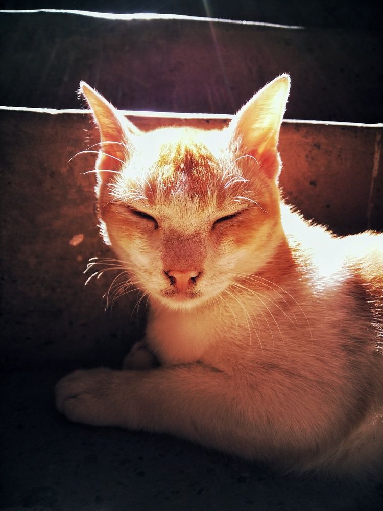 Photograph by Oviul Maruf