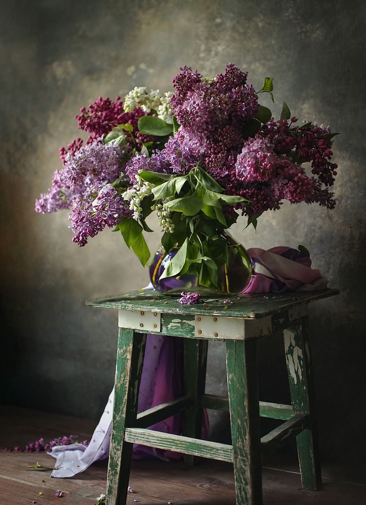 Фотография автора Svetlana Inyusheva