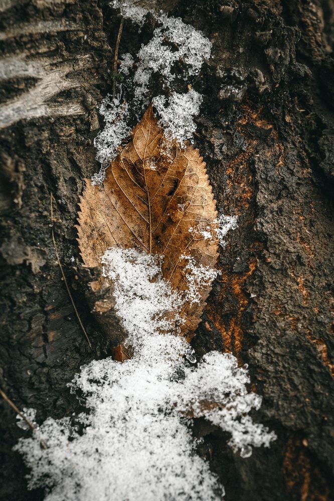 Photograph by Остапенко Алина