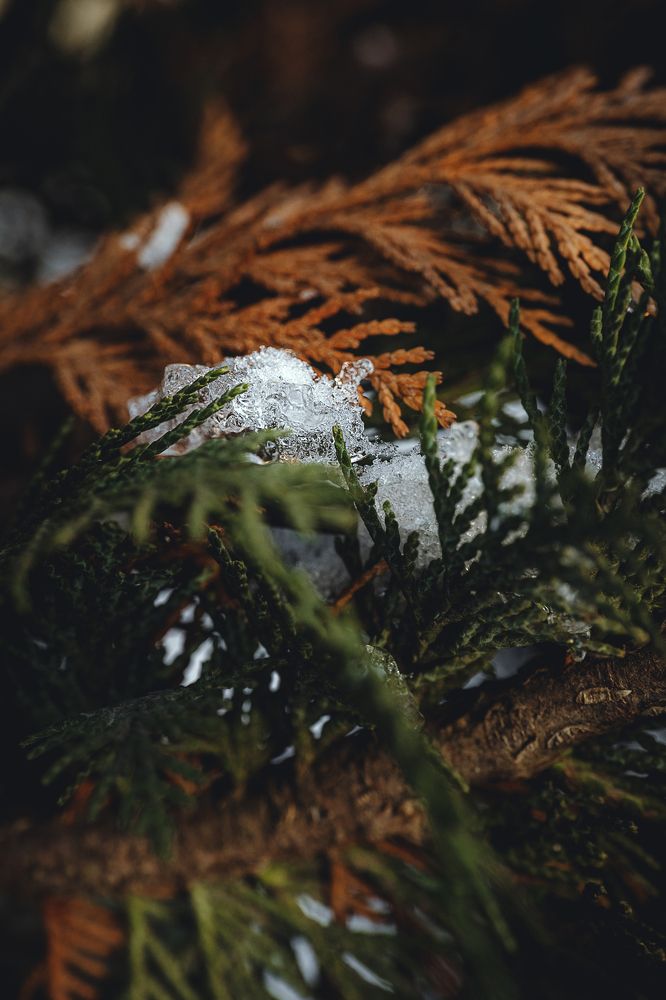 Photograph by Остапенко Алина