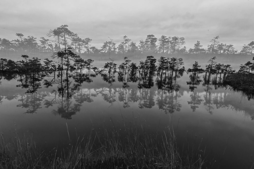 Photograph by Александр Щербаков