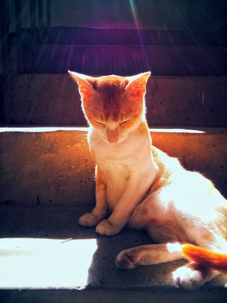 Photograph by Oviul Maruf