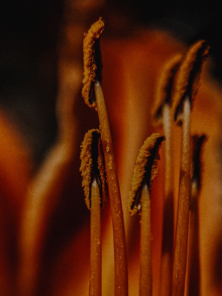 Photograph by Анна