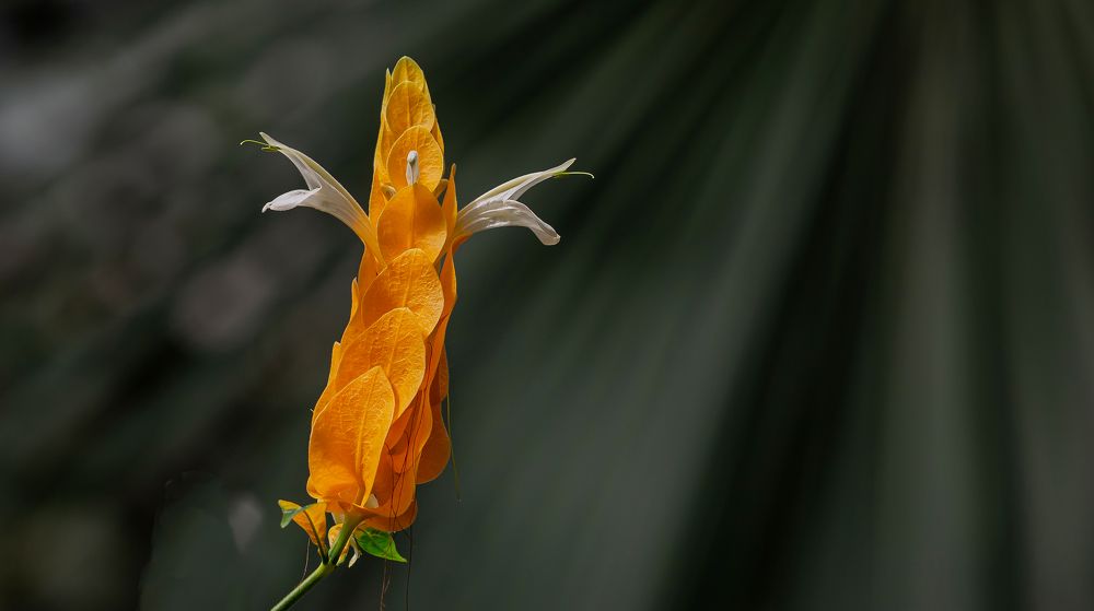 Photograph by yuri kutukov