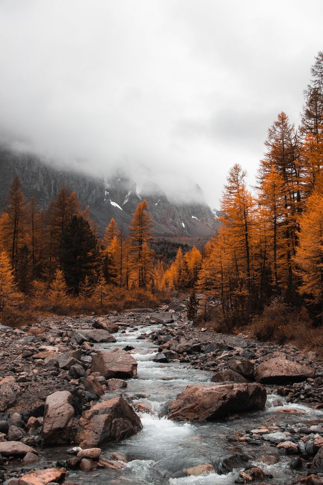 Photograph by Ярослав Чаадаев