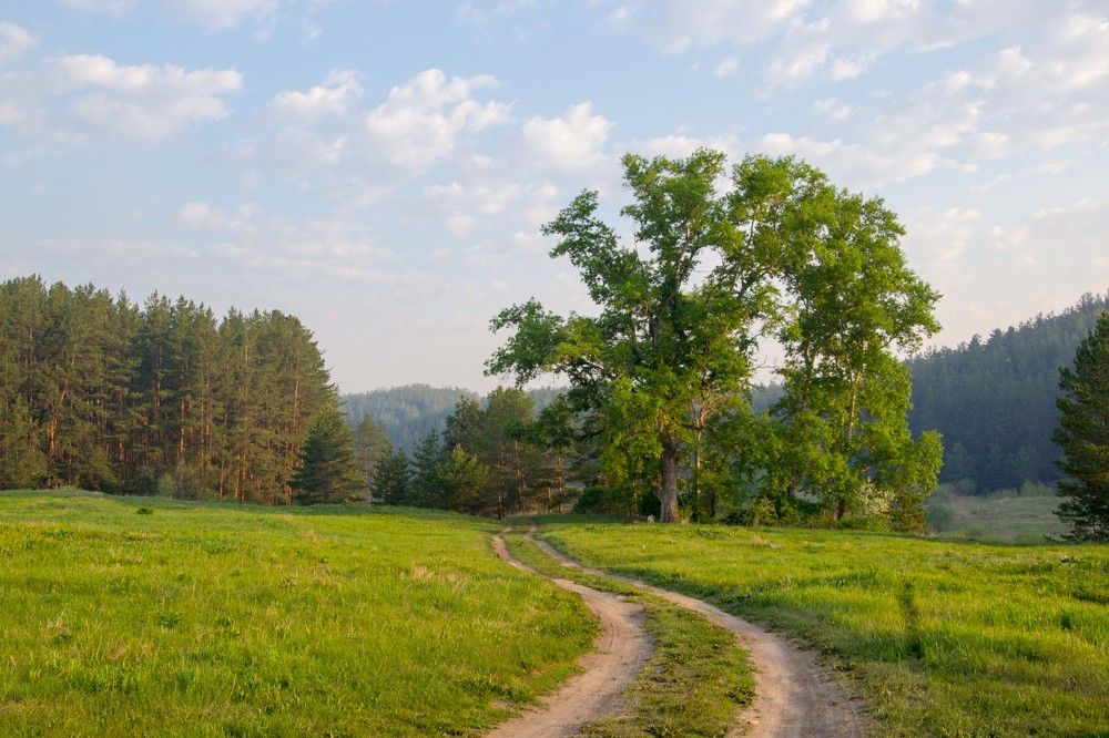 Photograph by Евгения Антропова