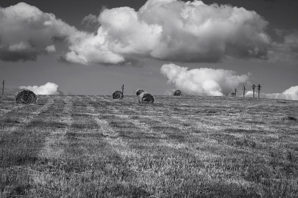 Photograph by Владимир Ким