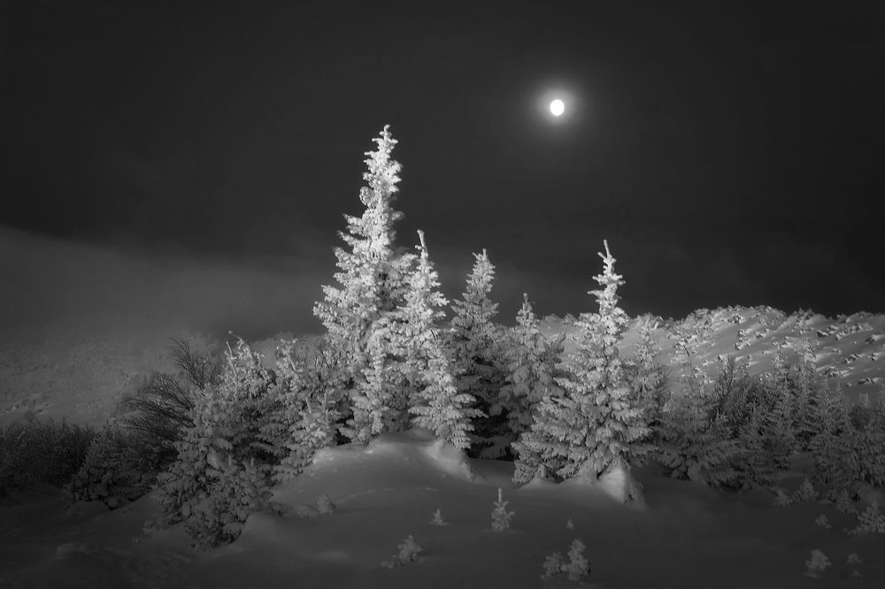 Одинокий фонарь...