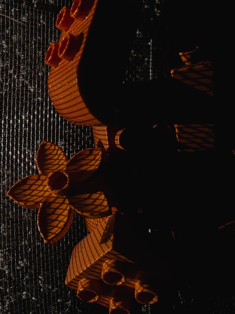 Photograph by Анна