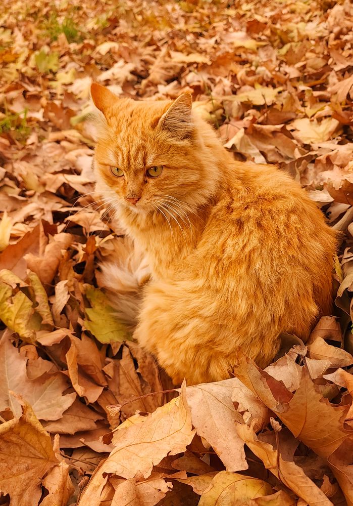 Photograph by Mina Mamdouhi