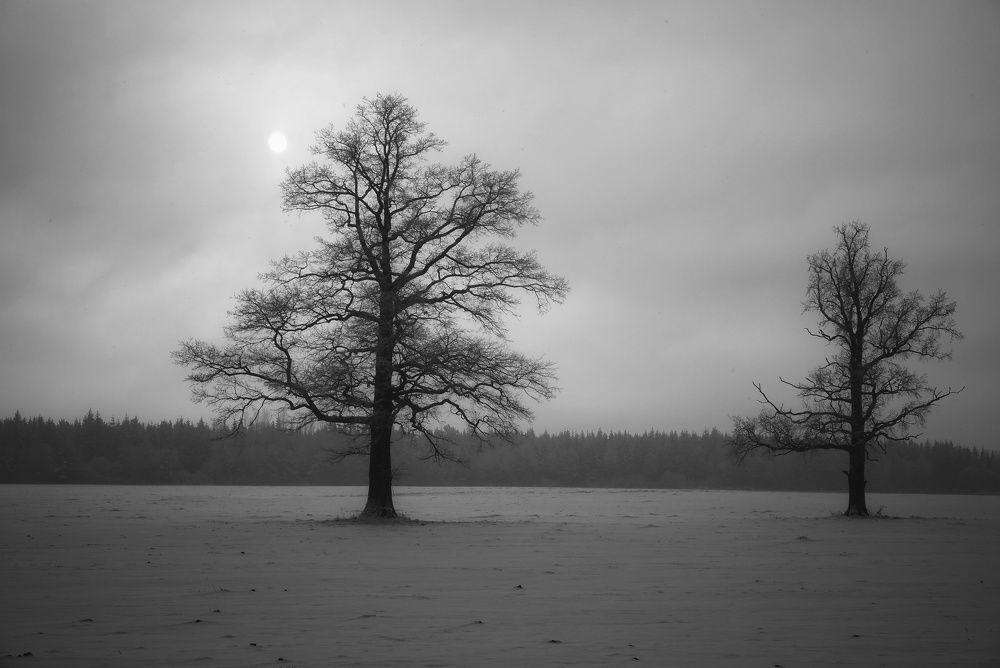 Photograph by Юрий Сычев