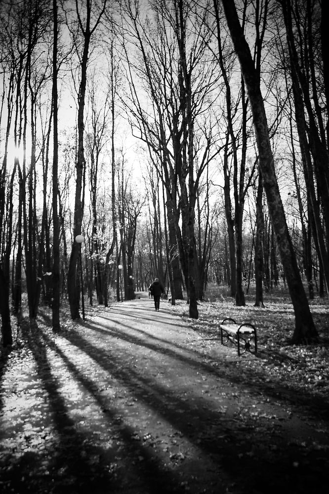 Photograph by Ольга Рыкова