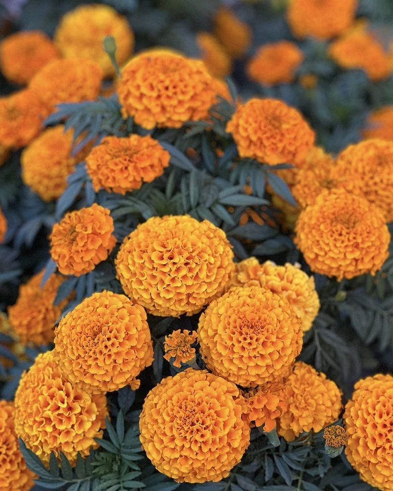 Photograph by Татьяна Волохова