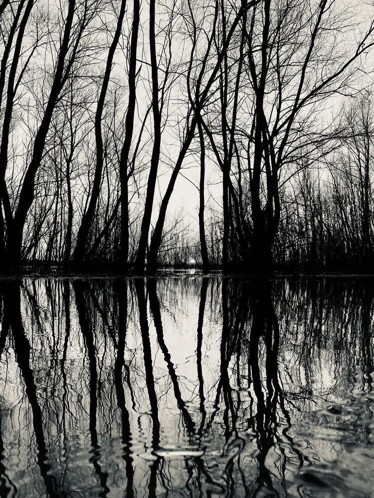 Photograph by Алиса Лукина