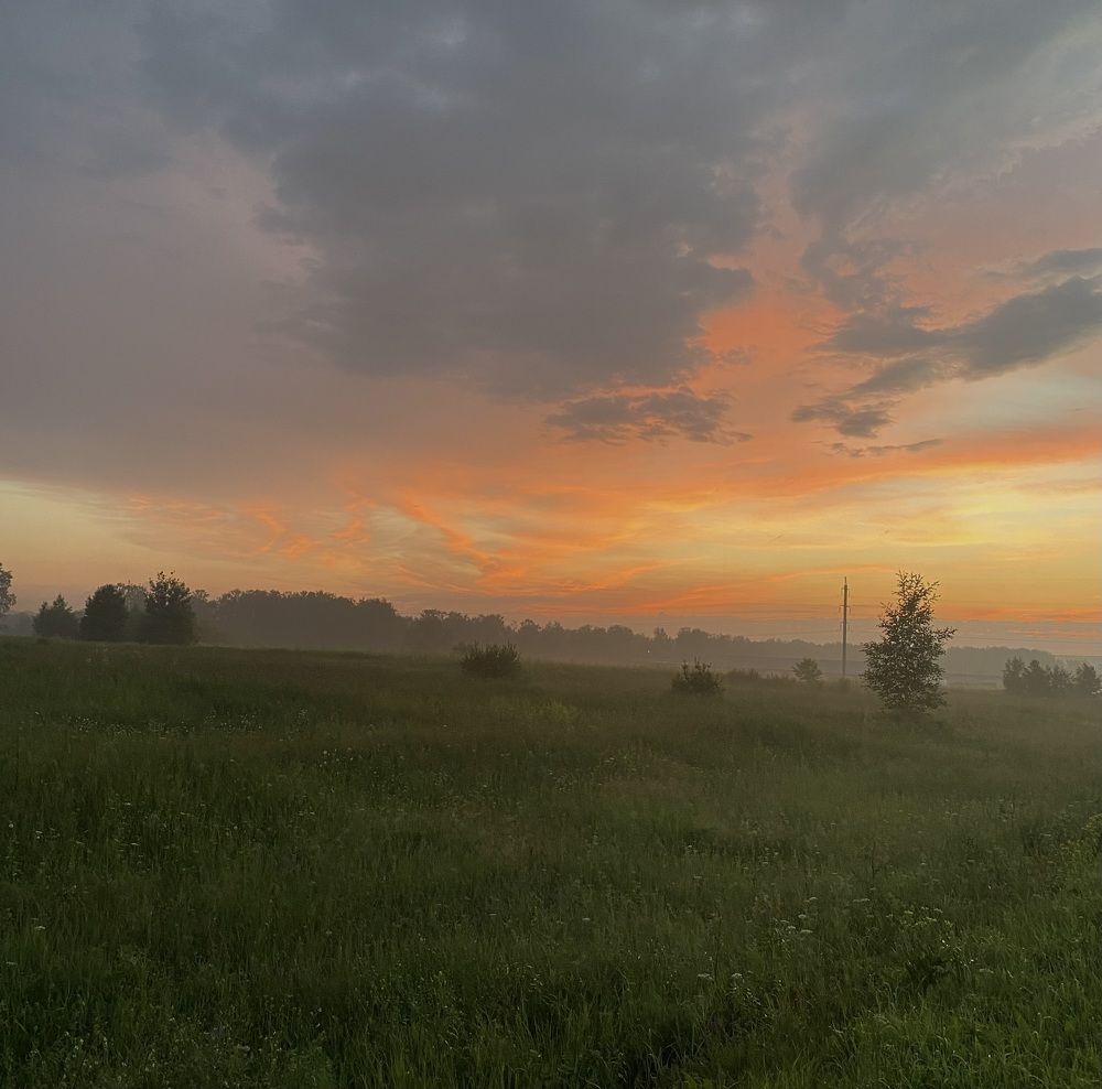 Photograph by Алиса Лукина