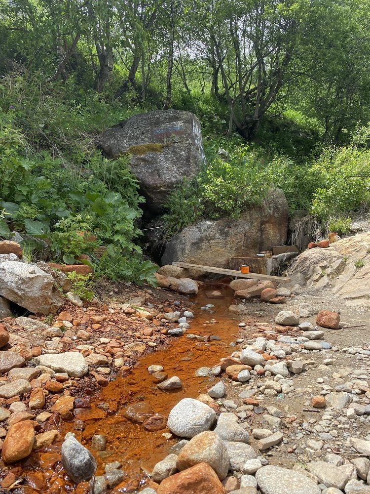 Photograph by Алиса Лукина