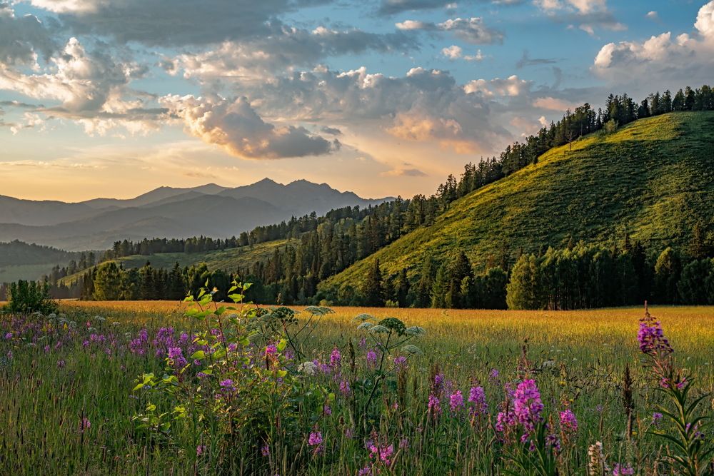 Photograph by Евгений Дроботенко
