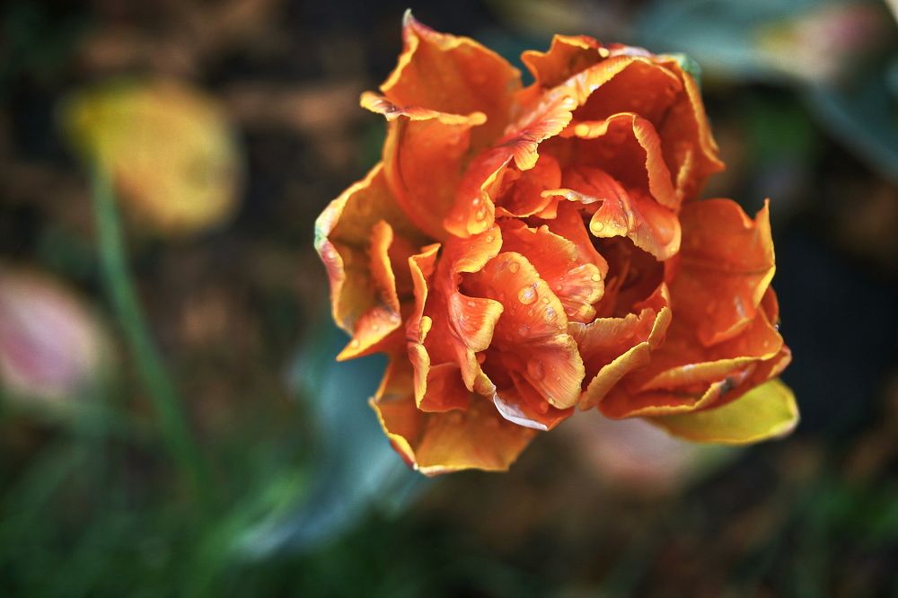 Photograph by Алексей Зимин