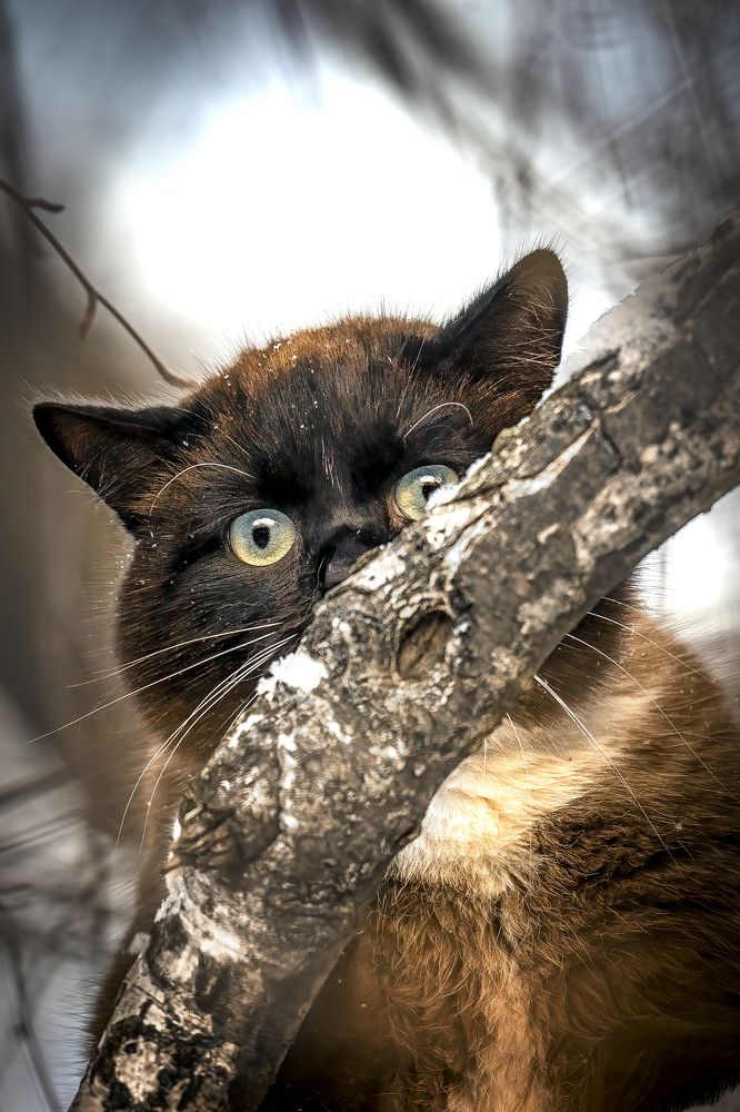 Photograph by Aleksandr Solovev