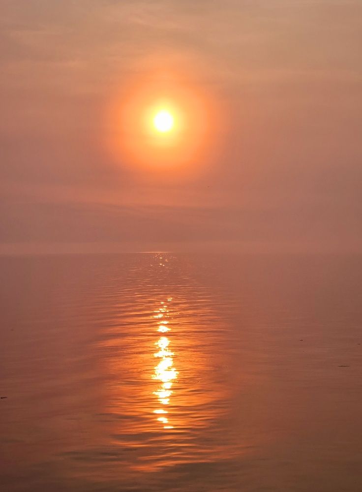 Photograph by Виктория Лобанова