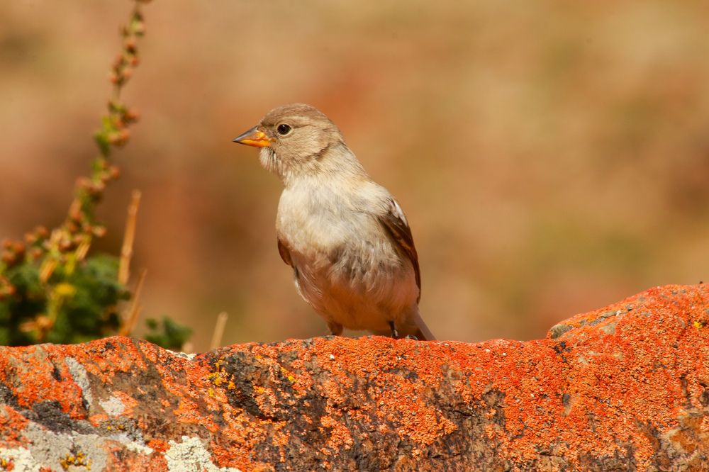 Photograph by Наталья Трифуз