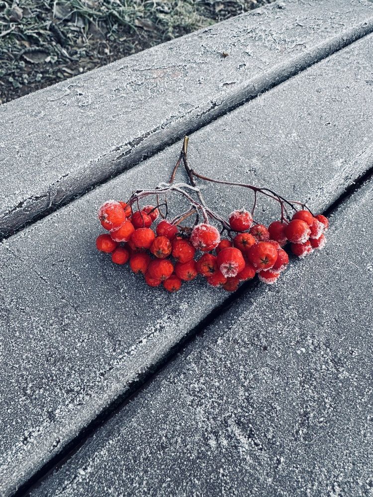 Photograph by Елена Безперстова