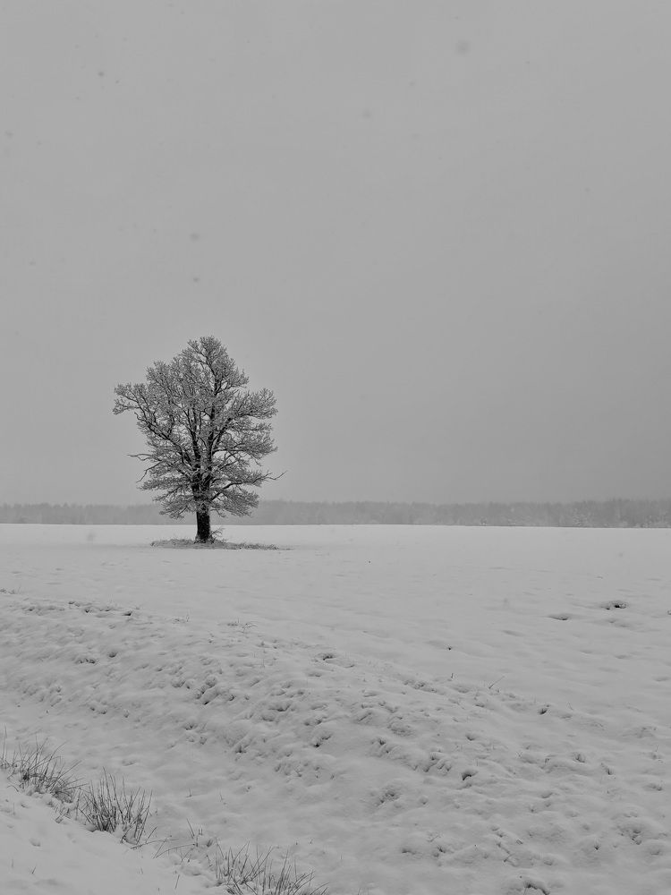 Photograph by Halina Mitsevich