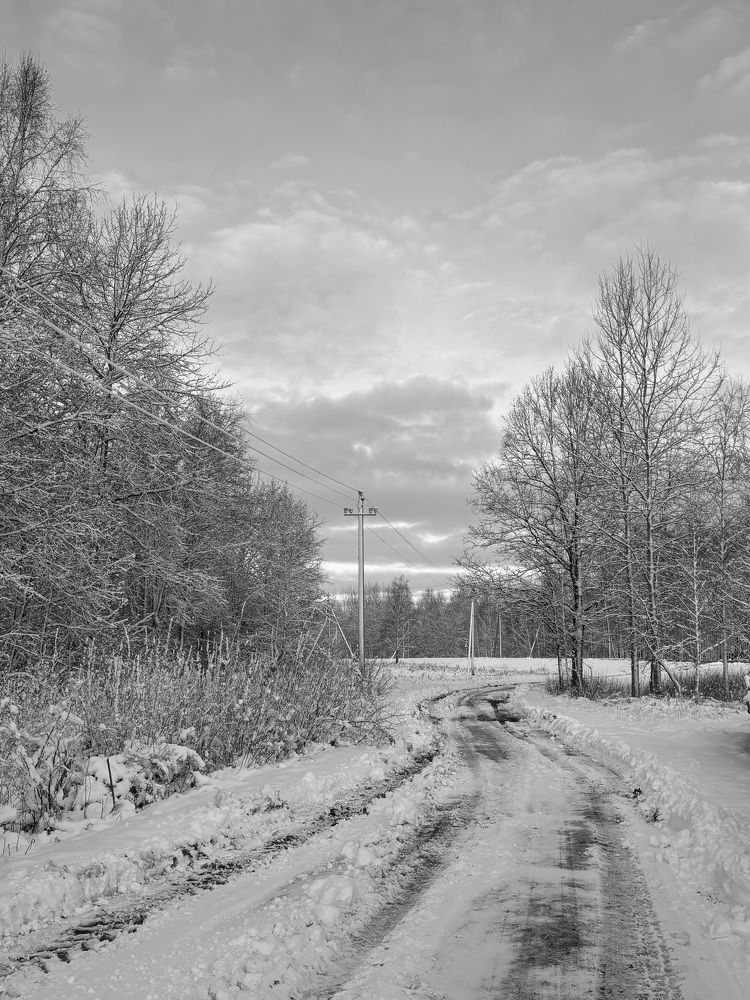 Photograph by Halina Mitsevich