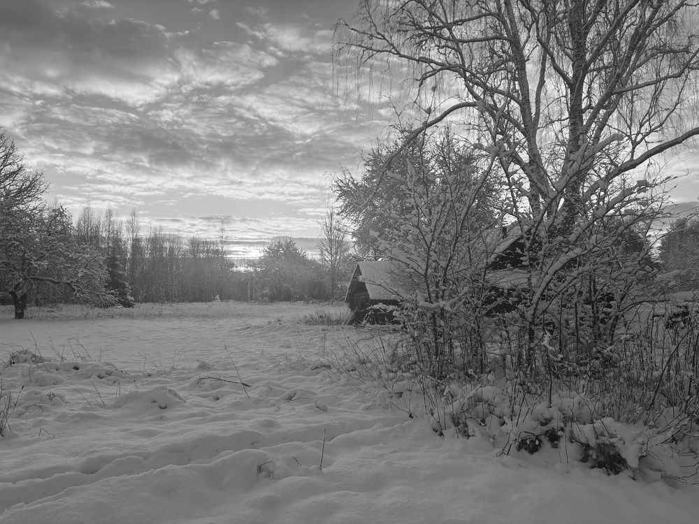 Photograph by Halina Mitsevich