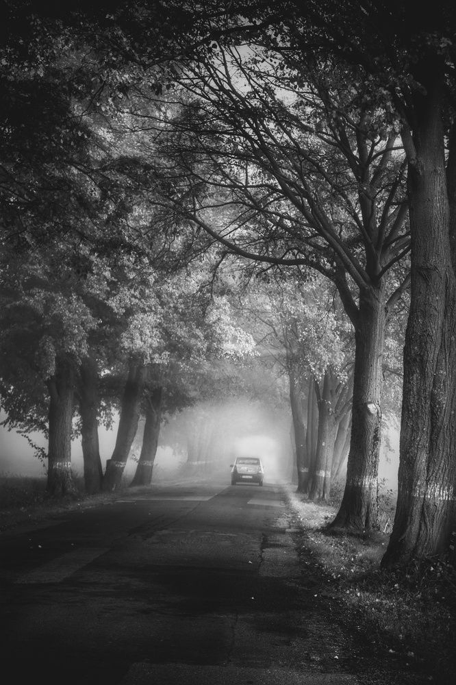 Photograph by Татьяна Максакова