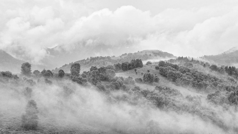 Photograph by Александр Авдушев