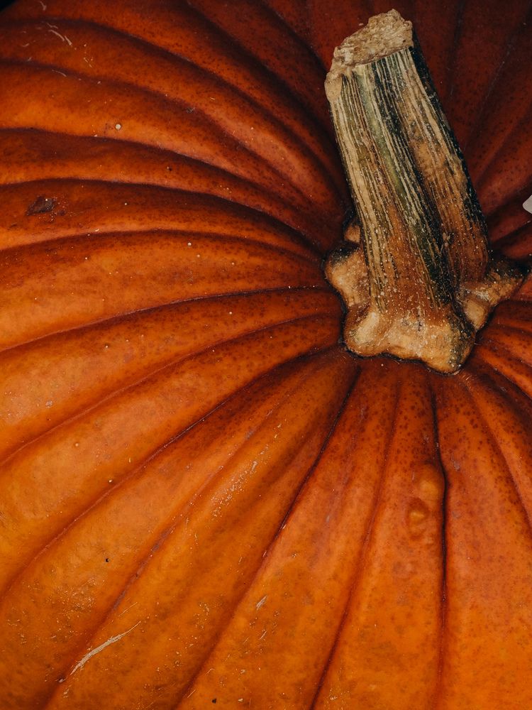 Photograph by Алиса Нежинская