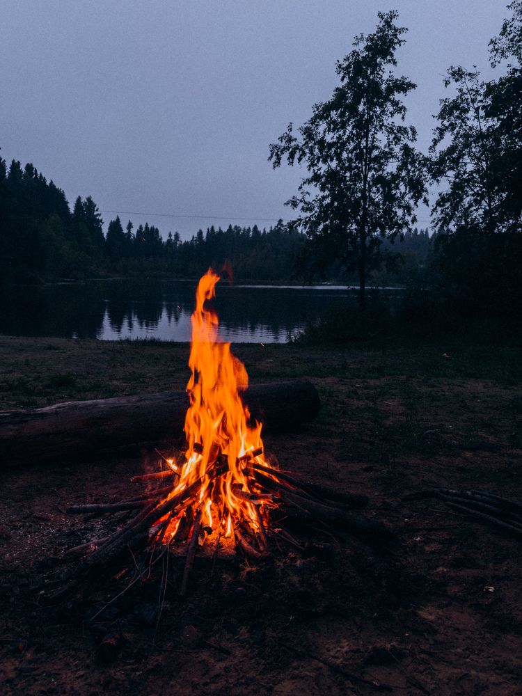 Photograph by Алиса Нежинская