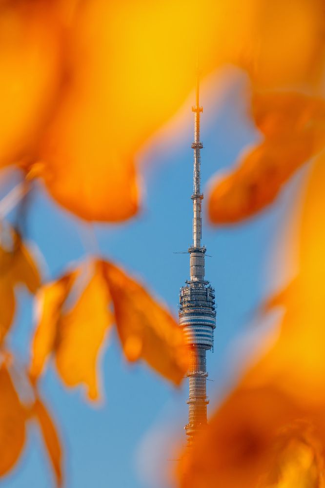 Фотография автора Анастасия Мазурева